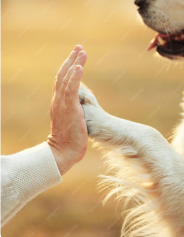 PAW