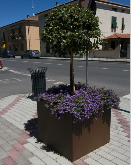 POT