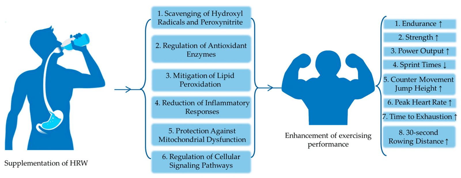 The Future Of Hydration- Benefits Of Using Hydrogen Water Daily